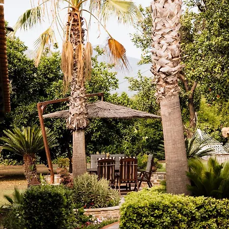 Ktima Zotos Luxury Exotic 1 Βίλα Αγριά