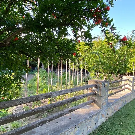 Ktima Zotos Luxury Exotic 1 Βίλα Αγριά