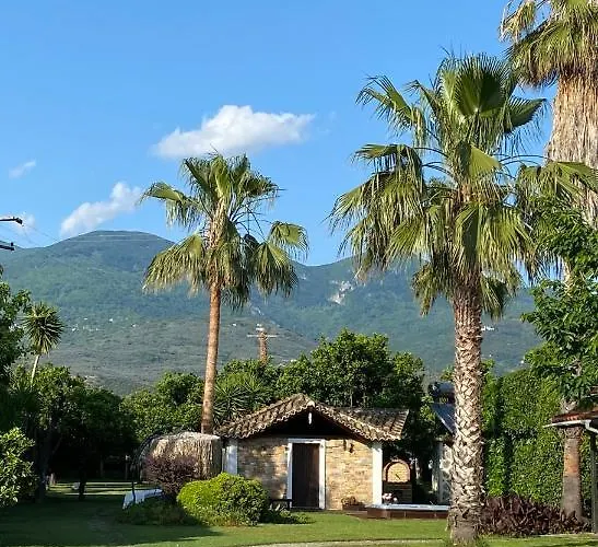 Ktima Zotos Luxury Exotic 1 Agria