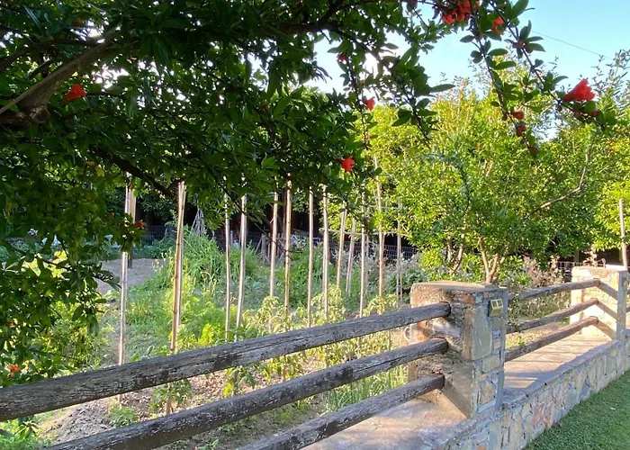 Ktima Zotos Luxury Exotic 1 Vila Agria