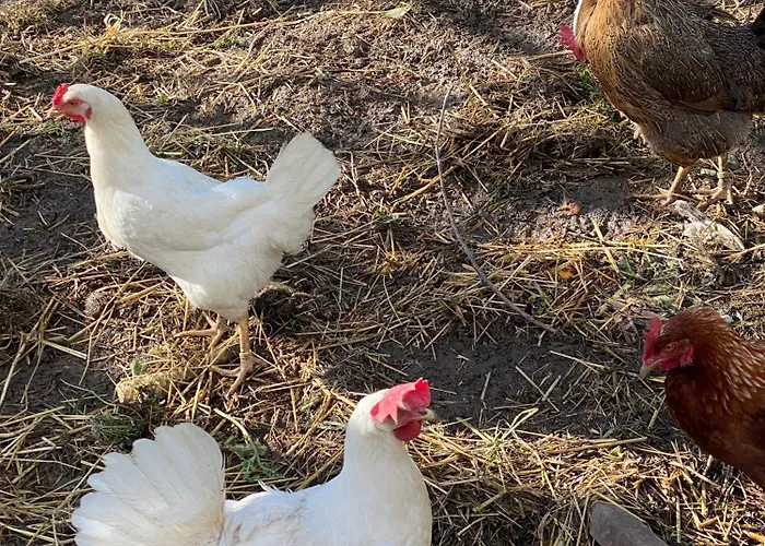 Ktima Zotos Luxury Exotic 1 Vila *