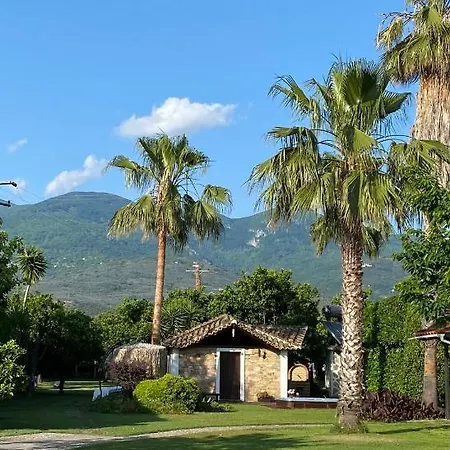 Ktima Zotos Luxury Exotic 1 Agria