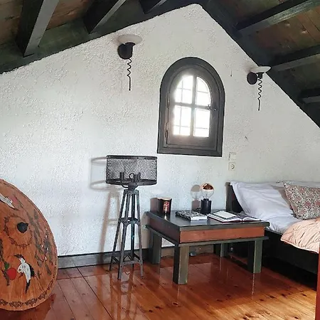 Villa Ktima Zotos Luxury Exotic 1 Agria