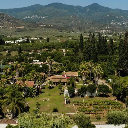 Villa Ktima Zotos Luxury Exotic 1 Agria